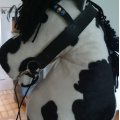 Image client Fourrure animale en velours - Vache (Blanc)