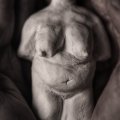Image client Argile Sculpey Originale 800g - Blanche