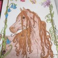 Image client Crayon de couleur Polychromos - 187 Ocre Br�l�