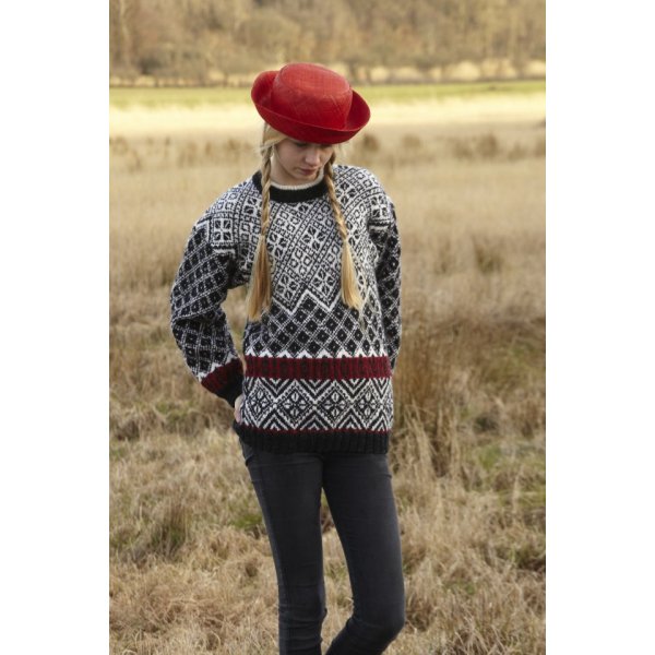 Patron tricot - Pull d'automne  motifs
