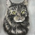 Image client Crayon pastel PITT - Noir Doux