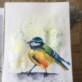 Image client Peinture aquarelle W&N Cotman Tube 8ml - 654 Turquoise