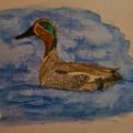 Image client Crayon aquarelle Albrecht D�rer - 174 Vert Chromium Opaque