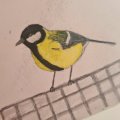 Image client Crayon aquarelle Albrecht D�rer - 272 Warm Grey III