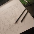 Image client Le dessin Goldfaber - Graphite