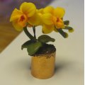 Image client Mod�le Fimo Soft 57g - Jaune