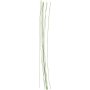 Tiges de fleurs - vertes - 0,6 mm - 20 pcs