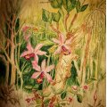 Image client Ensemble de peinture aquarelle W&N Cotman Studio
