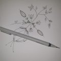 Image client Coffret Winsor & Newton Fineliner - 5 stylos