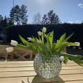 Image client Boules de verre 18 - 20 mm - transparentes 100 g / 20 pcs.