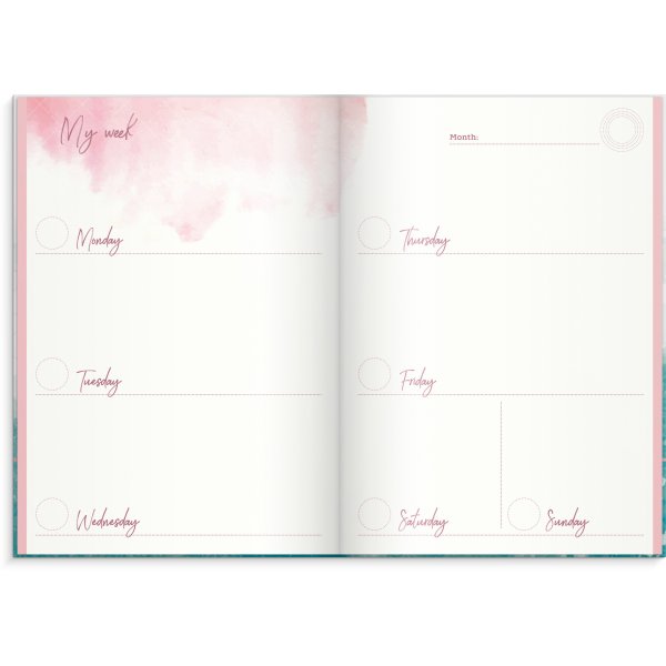 C'est mon année C'est mon année