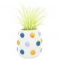 Clay Sculpey III - Ornements en argile cuite