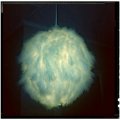 Image client Plume de marabout 80 - 100 mm - blanche 2 g ~ 22 pcs.