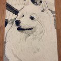 Image client Copic Ciao - C-3 - Gris froid No. 3
