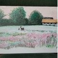 Image client Peintures acryliques Art Creation Color set 75 ml - 12 couleurs