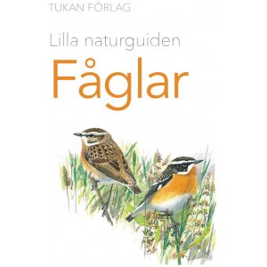 Petit guide nature : Les oiseaux Petit guide nature : Les oiseaux