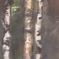 Image client Peinture acrylique Graduate 120 ml - Terre d'Ombre Brute