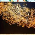 Image client Peinture acrylique Amsterdam 120 ml - Noir oxyde