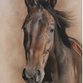 Image client Crayon de couleur Polychromos - 186 Terre cuite