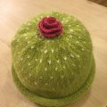 Image client Fil DROPS Alpaca Uni Color - 50g - Citron vert fonc� (2916)
