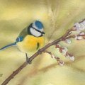 Image client Peinture aquarelle W&N Professional Demi-tasse - 086 Cadmium citron