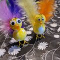 Image client Becs de poulet 100 pcs