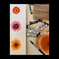 Image client Set de pinceaux - Aquarelle n°2 (5 pcs)