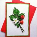 Image client Bandes de papier 160 x 3 mm - mélange de 400 pcs. 130g/m²