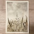Image client Bloc Aquarelle Collé Pressé à Froid Arches 300g - A4