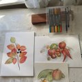 Image client Stylos aquarelle double face Design Journey - 18 stylos