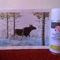 Image client Spray protecteur - 400 ml (spray)
