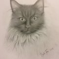 Image client Stylo gomme Faber-Castell Double face - Graphite et Encre