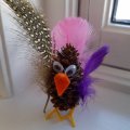 Image client Pieds de poulet 25 paires