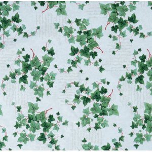 Toile cirée - Lierre Toile cirée - Lierre