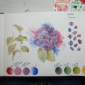 Image client Livre aquarelle Hahnemühle 200g - A4