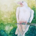 Image client Peinture aquarelle W&N Cotman Water Brush Pen set 12