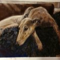 Image client Canson Mi-Teintes Touch 350g 50x65 cm - Gris