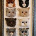 Image client Yeux d'animaux ø 10 mm - bleu 4 pcs.