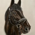 Image client Crayon pastel PITT - 101 Blanc Med