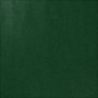 Papier cadeau - vert - 5 m
