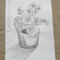Image client Bloc � dessin Hahnem�hle 190g Reliure spirale - A4