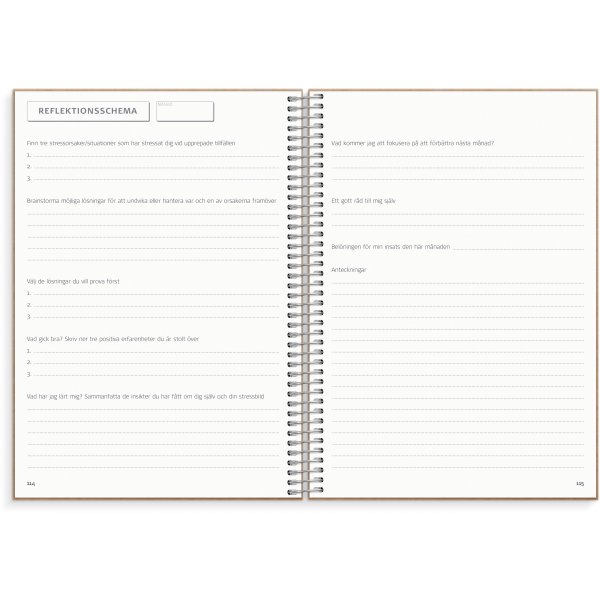 Journal de solde Journal de solde