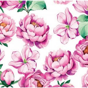 Toile cirée - Blanc pivoine Toile cirée - Blanc pivoine