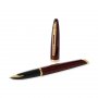 Stylo plume Waterman Carne Marine Ambre - Garniture Dore - Bleu Moyen