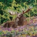 Image client Peinture acrylique Syst�me 3 59ml - Sienne Brute