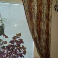Image client Fourrure animale en velours - Gu�pard