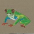 Image client Set de pastels à l'huile - 50 crayons de couleur