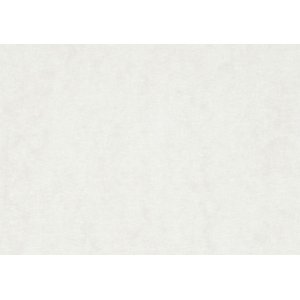 Papier aquarelle - blanc - A5 - 300 g - 100 feuilles Papier aquarelle - blanc - A5 - 300 g - 100 feuilles