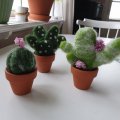 Image client Pots en terre cuite 4 cm - paquet de 10