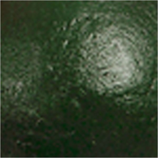 Peinture scolaire - Acrylique - vert fonc - brillante - 500 ml